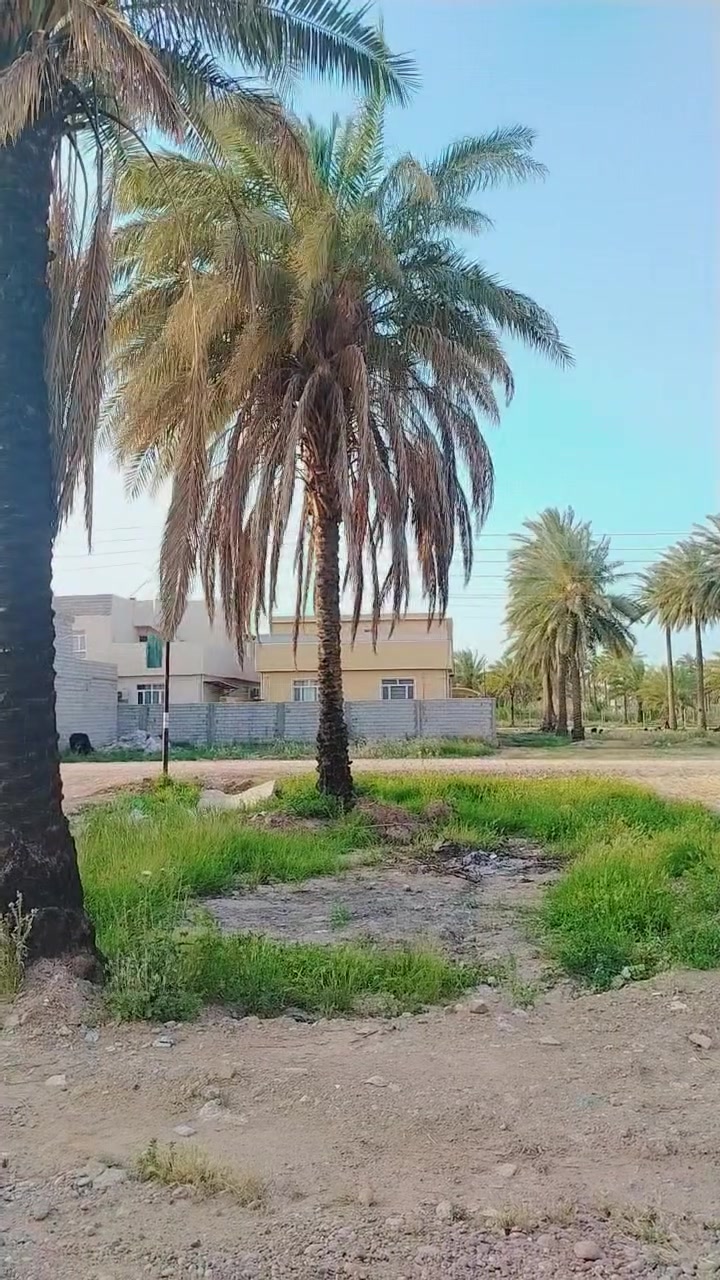 السلام عليكم
قطعه أرض للبيع
المساحه 200 م
الوجه 10 النزال 20
العنوان : المراسمه بالقرب من جامع الرقيب
للأستفسار
***********
***********
