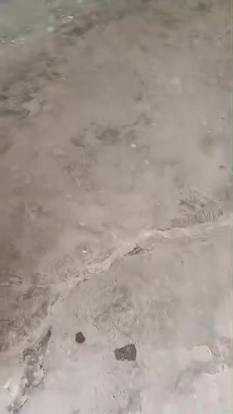 بيت • منطقة ١٤ • للبيع أو للإيجار