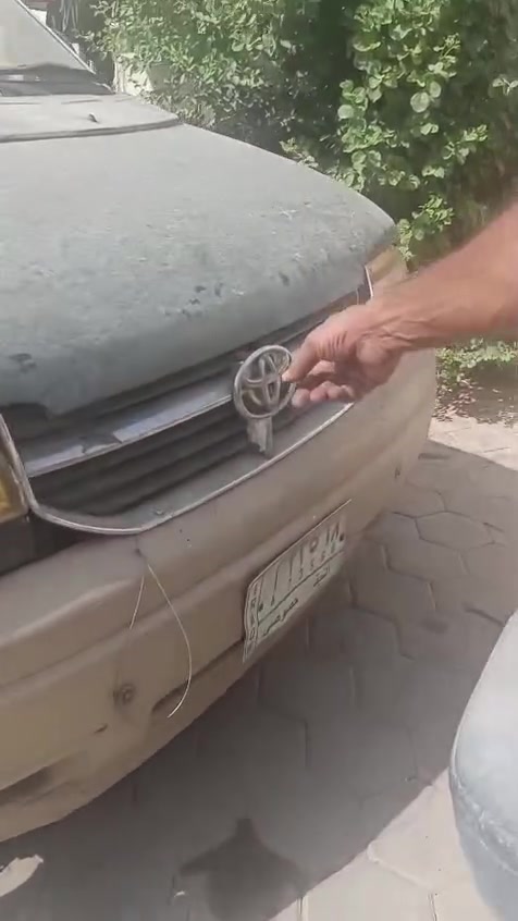 مازدا ستيشن • رقم النجف • صبغ اخضر