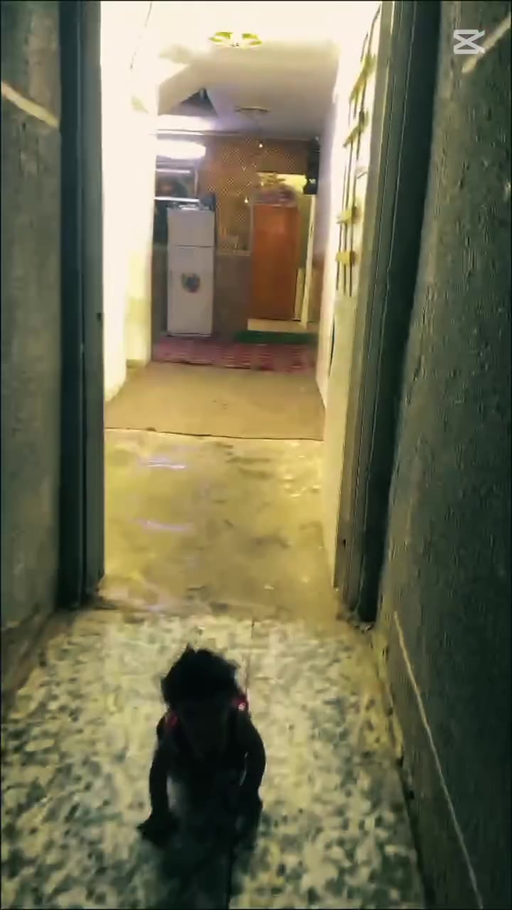 سلام عليكم بيت 🏚️ للبيع في الكمالية البستان مقابل بيت مراد البيت ع شارع الرئيسي مساحه البيت ١٣٨ متر اربع غرف نوم  الطابق الأول غرفتين كبار واستقبال وصاله   وكراج البيت نقصه بس الطابق الأول كاشي فتحته الكاشي وماكملته الكاشي  الطابق الثاني غرفتين نوم كبار وغرفه الي بل وجهه كبيره سويت خدمات كامله مي مجاري تبليط البيت ع شارع الرئيسي سند ٢٥ طابو زراعي للبيع بسعر مناسب *********** للاستفسار
