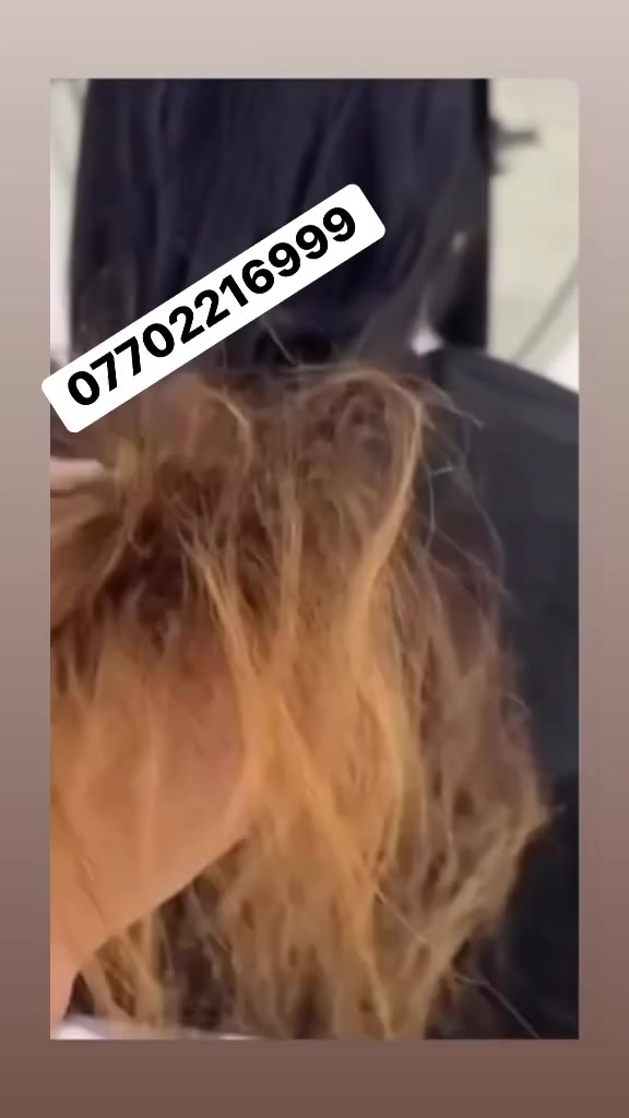 معالجة شعر • صبغ • تخصيل