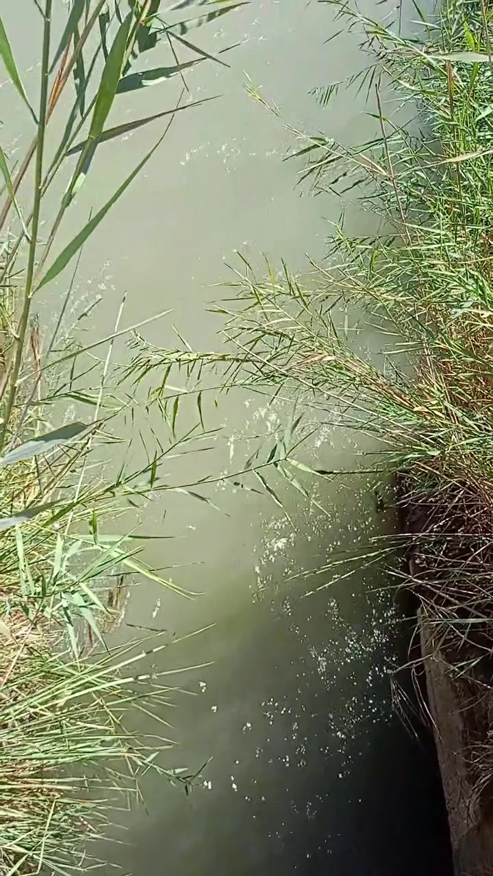 @مكلف بلنشر
سلام عليكم  ارض زراعيه عقد 35مجدد السنة 2027 في الكفل ع طريق السبعه خلف محطة الكهرباء الجديده تبعد عن طريق حله نجف 1200متر وعن شارع القاسم حله 150متر مساحة الارض الزراعيه 6دونم وتحتوي ع 22 نخله حلاوي وخط كالمتوز ع ضفاف النهر وتحوي ع ماء اساله وكهرباء +مياه سقي وتكون الارض مربعه وتحيطها من ثلاث جهات طريق سياره رقم صاحب الارض ***********
