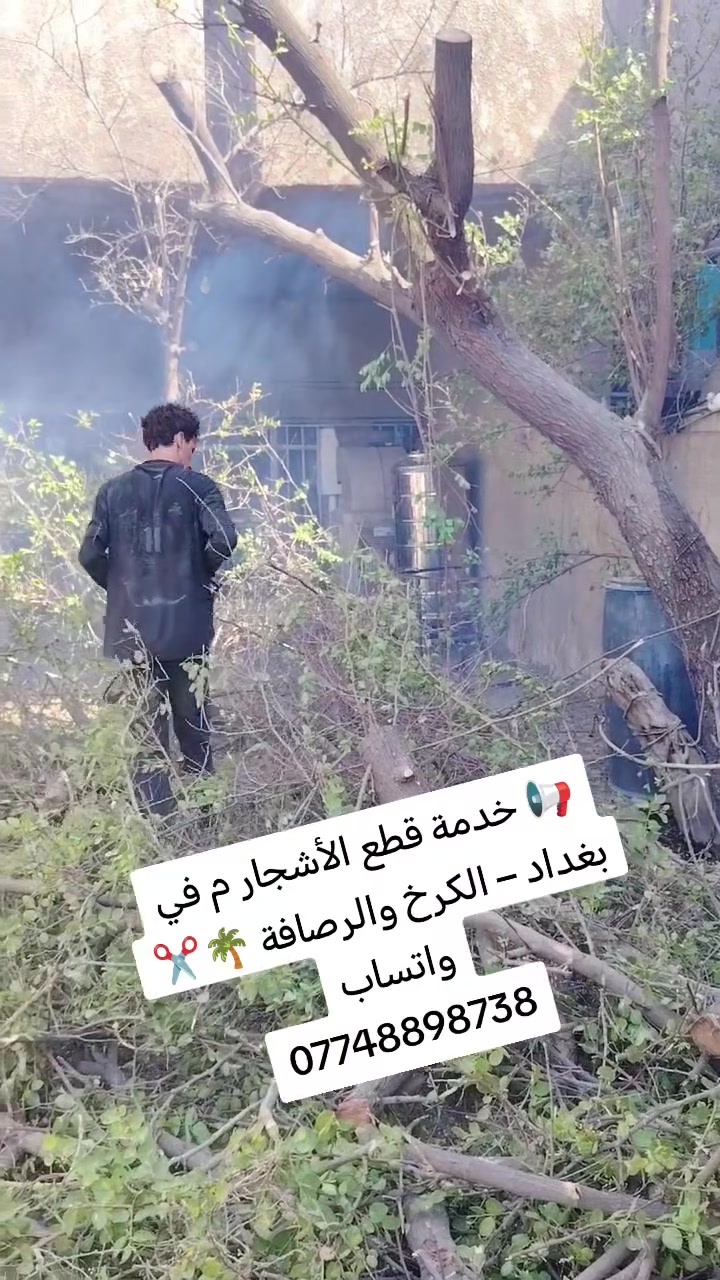 تقطيع الشجار كرخ و رصافه***********

نص مكتوب في الصور:
- HONOR FILM 2025 HONOR FILM 13 12