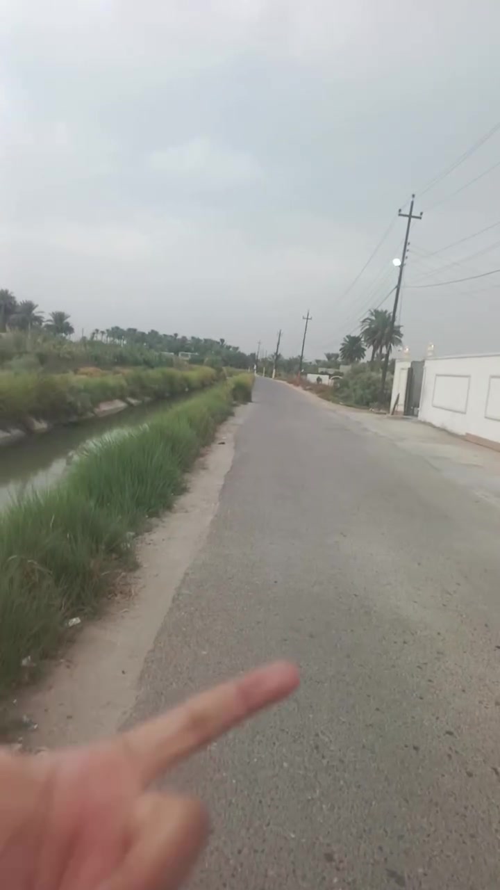 تحفة • عقار • للبيع