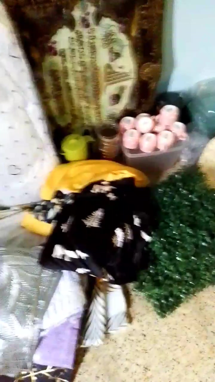 مواعين  كبار 
مواعين صغار
استكاين
فناجين
كلاصات
نجاين
صواني وجوه مخدات 
وجوه كوشات 
اية الكرسي
مخدات 
كاسات وبلامة 
ودشاديش نساءية
واغراض أخرى
السعر 150
العنوان بغداد الجديدة النعيرية
للتواصل ***********