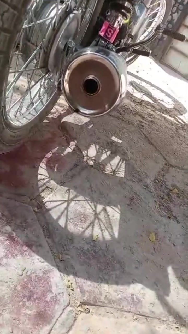 سيجي • تعميره ٢٠٢٦ • اوراق ضايعة