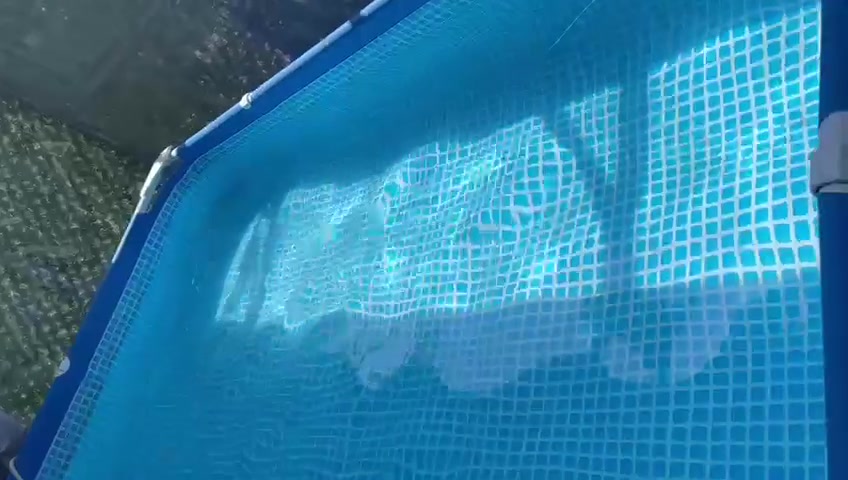 مرحبا مسبح انتكس اصلي بي شكين صغار بالارضية ولزكات اصليه كلهن موجودات وحتة شكين مينزل مي لان بالارضية طول ٣ وعرض مترين مكاني كراده اخذته ب١٥٠ اريد ب٦٠ استفسار هذا رقم 
***********
