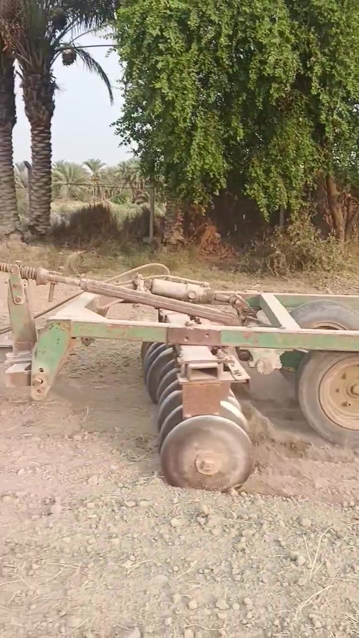 موديل ١٤ • دبل • مكفولة