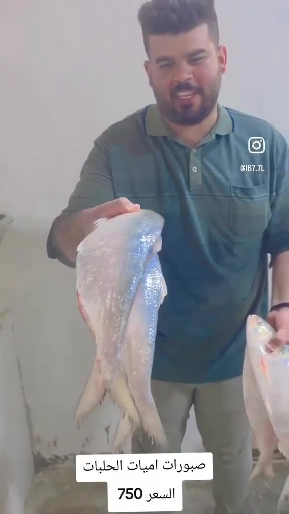 عزل أسطح • تغليف أسطح • مواد عزل
