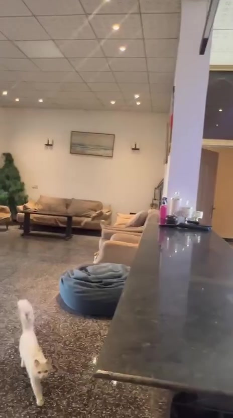 مزرعه اليجار اليومي موثقه بططبيق اجرلي رقم الهاتف ***********
