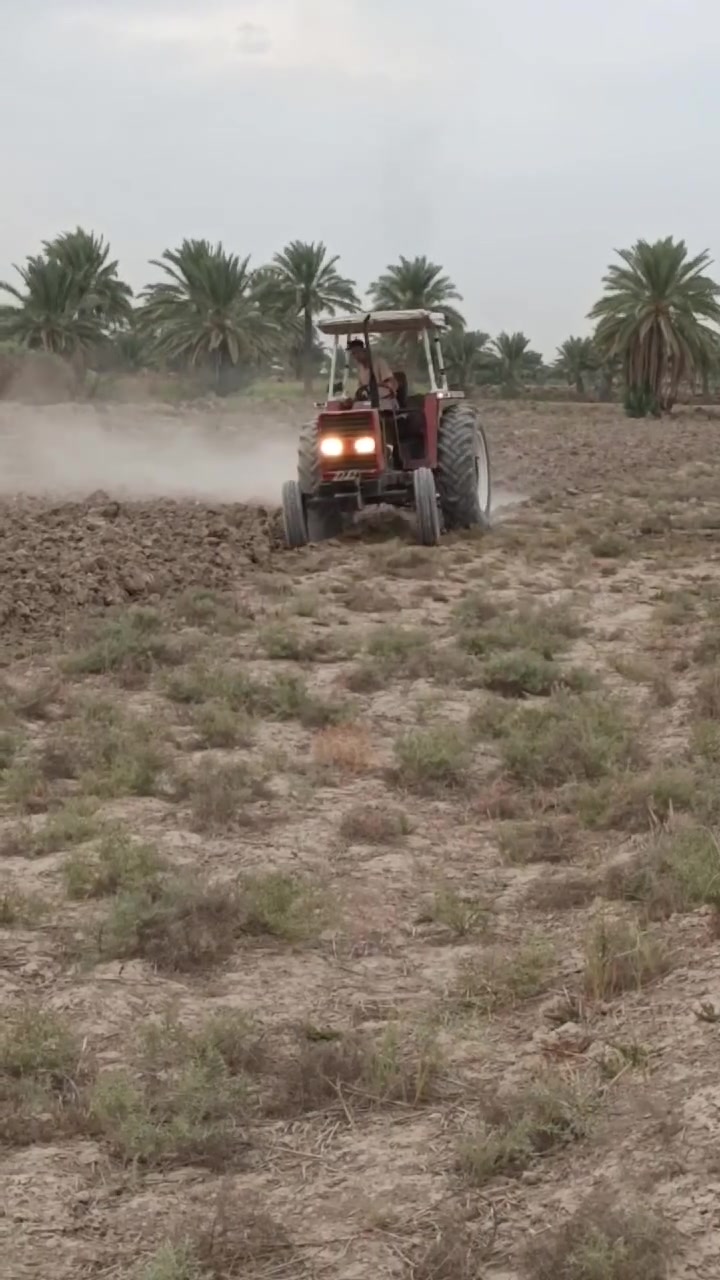 فيات • للبيع