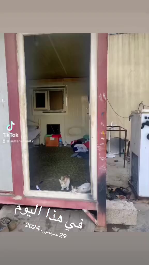 مركبات أخرى • بدون تفاصيل