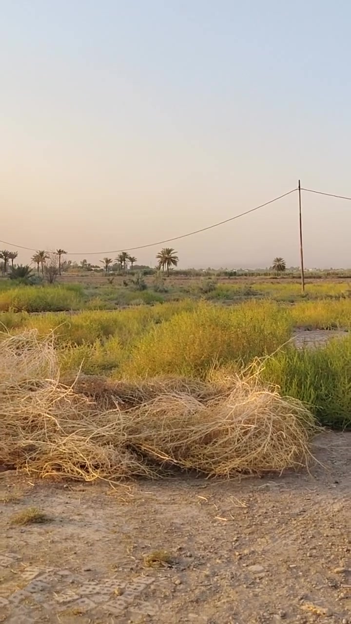 سلام عليكم 40دونم اربع ابيوت بيهه قرب جسر فرنسي حاب يتوصل ***********
