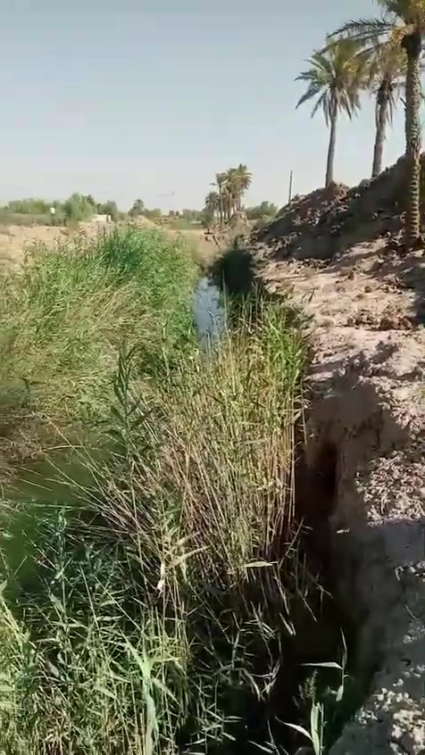 كاع لليجار زبيدي شاخه 17 مساحه ١٥ دونم ثاني قطعه تريد ايجار سنه سنتين مااكو مشكله مي نهر ومي رساله الكاع معزوله الاستفسار ***********
