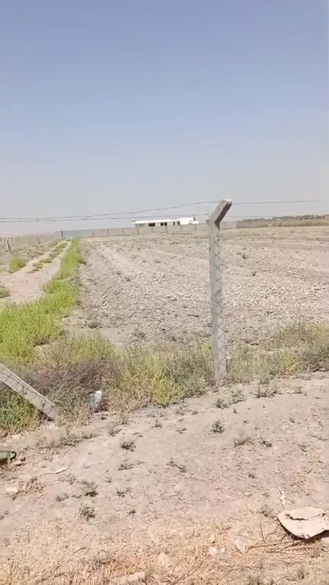 البيع 8 دونم سند 25 بيه بيت 
بغداد سبع البور منطقت المصالحه وطجاج  ***********
