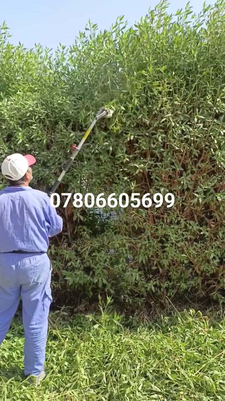 فلاح • حدائق