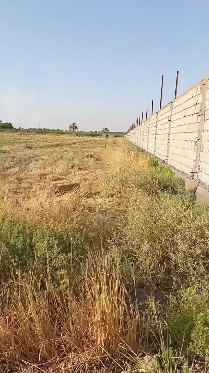 دونمين  زراعي للبيع متوفر مي   وكهرباء للاستفسار‏‪***********‬‏

