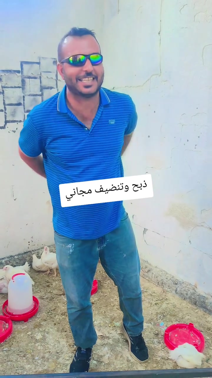 ٣ دجاجات • ذبح مجاني • تنظيف مجاني