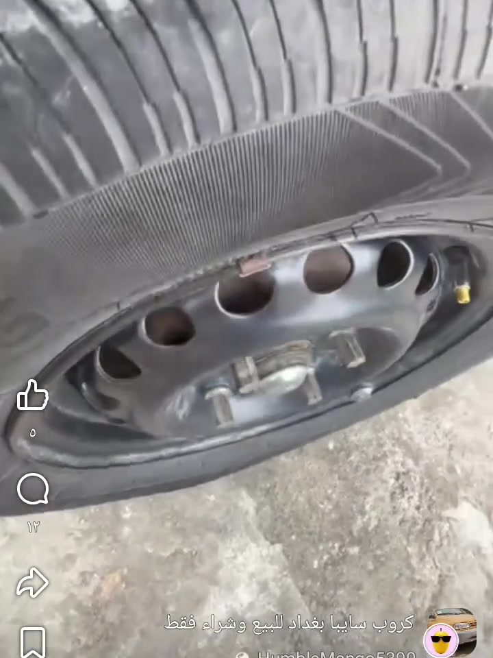 طيبة • ١٧٥/٧٠/١٣ • جدد