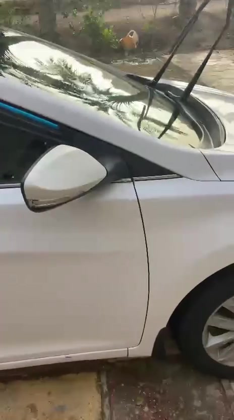 السلام عليكم اخواني
النترا ٢٠١٥ خليجي
مكينه ١٨٠٠ ما مفتوحه
فول مواصفات فتحه تبريد قطعتين
ظرر جداً بسيط بارد باب الصدر وكاررت بالبنيد صغير والجوملغ راح انزل فيدو توضيحي
والصور هاي بعد الترتيب
رقم موبايل ***********
