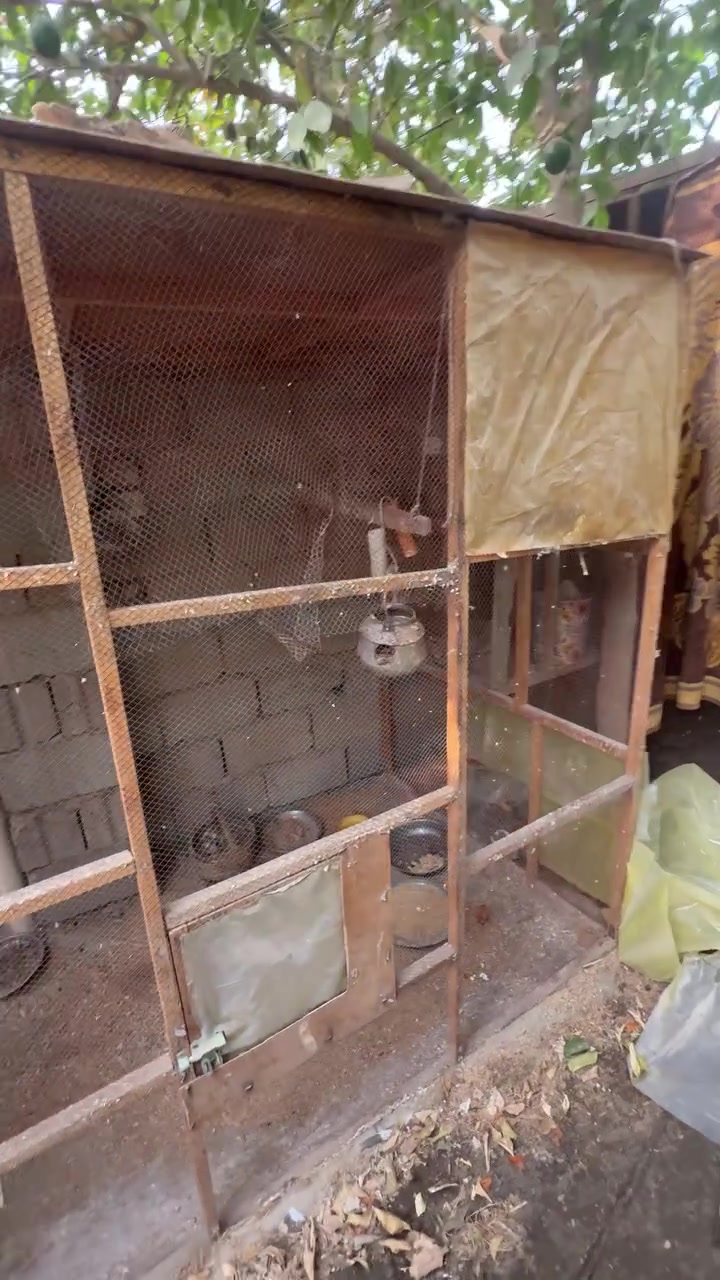 برج اخو • بابل القاسم • جديد