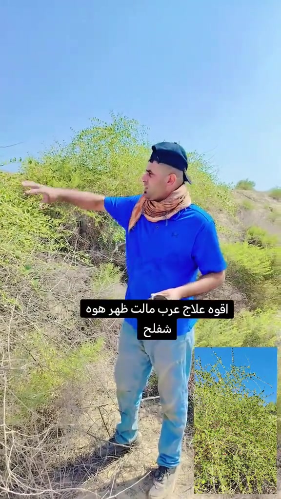 عشبه • علاج عقدة • شفاء