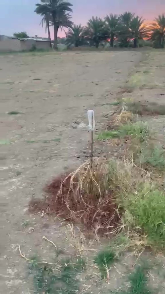 دحيله • ١٤٠٠م • طابو زراعي