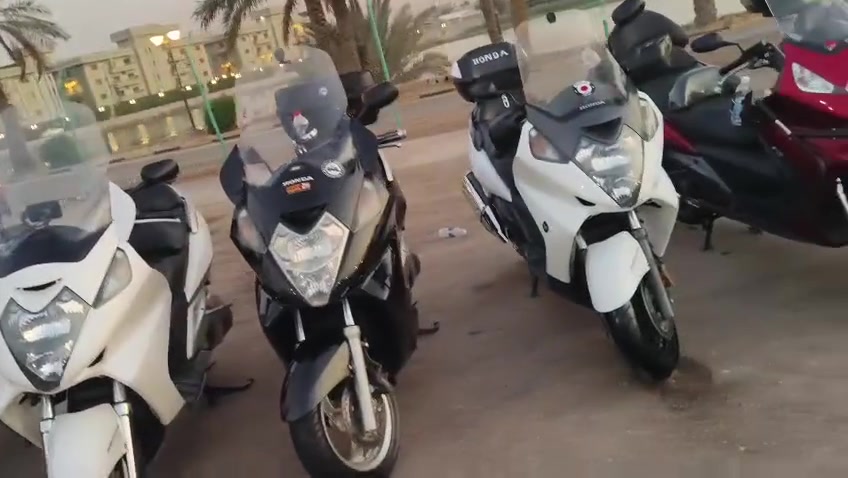 سلفر ونج ٦٠٠ • فول فول • رقم مميز