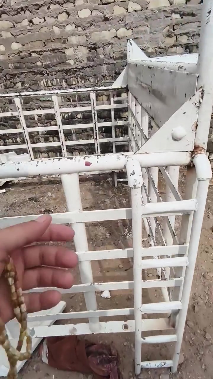 ديكور • حديقة