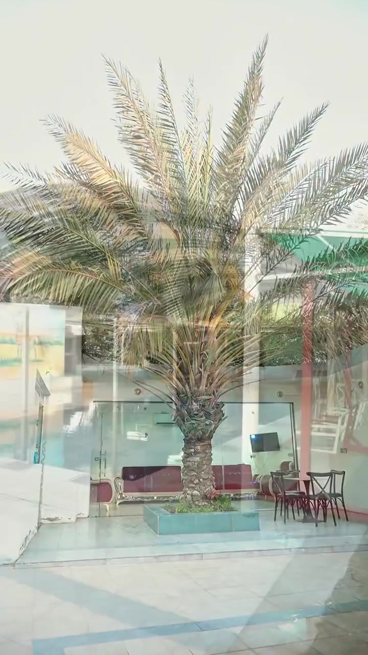 منتجع السعفه الذهبيه🍂
  منتجع كامل اجواء من البهجه والهدوء والخصوصيه 🎻🎸🌿🌴🏕️🌲🎸🎻
للعوائل
📍صلاح الدين/قضاء بلد 

      يتضمن المكان كل وسائل الراحه وأفضل خدمة 🎻
🍂ببناء حديث بتصميم عصري 🏡 
🍂الخصوصية والامان والنظافة💯
🍂كهرباء على مدار الساعة 24🔋
🍂شبكة اتصالات انترنيت📲
🍂مسبح كبير وصغير للاطفال 🏊
🍂صحيات داخليه  🫧
🍂مكان مخصص للشواء 🍖🍗
🍂كراج سيارات كبير 🚙🏎️
🍂العاب ترفيهيه /منضده🏓+بليارد🎱+فيشه🥅
🍂تحتوي على صاله مجهزه ومؤثثه وغرفتين نوم ومطبخ مجهزة بالكامل 
نستقبل الحجوزات من عوائلنا الكريمة  على مدار الاسبوع  بنظام حجز شفت واحد و (24) ساعة مبيت
للحجز الاتصال على ***********
