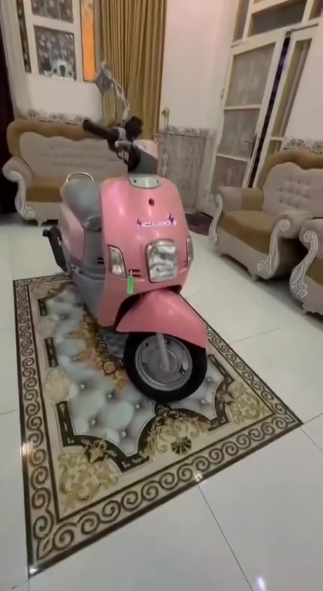 ماكس بوليسي كفاله عامه دارجه تخبل
سعر 850 مكينه تخبل كهربأيت كله شغلا جاهزه نكره  سلف عوزه بس سايق 😅 ول يسال سبيه ما بيه كشي ما بيه مكفوله مكفوله (*********** وتساب)(***********)@إشارة
