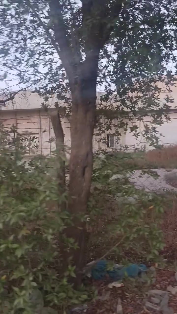 قطعه مساحه ٥٦٦  موقع تجاري  طابو صرف بسم شخص واحد  تحويل مباشر من يرغب بشراء ***********عقارات ابو كيان حي الجزائر
