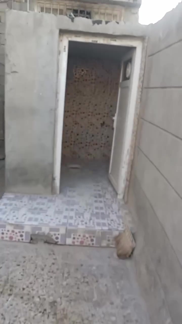 🏠دار للإيجار مساحه ٢٠٠م طابق واحد يحتوي على غرفتين وكليدور وصاله ومطبخ ومجمع صحيات وطارمه 

⁦^⁠_⁠_⁠_⁠_⁠_⁠_⁠_⁠_⁠_⁠^⁩⁦(⁠◍⁠•⁠ᴗ⁠•⁠◍⁠)⁩⁦(⁠◍⁠•⁠ᴗ⁠•⁠◍⁠)⁩⁦^⁠_⁠_⁠_⁠_⁠_⁠_⁠_⁠_⁠_⁠^⁩

🌎 الموقع خلف مدينة حمورابي 

⁦^⁠_⁠_⁠_⁠_⁠_⁠_⁠_⁠_⁠_⁠^⁩⁦(⁠◍⁠•⁠ᴗ⁠•⁠◍⁠)⁩⁦(⁠◍⁠•⁠ᴗ⁠•⁠◍⁠)⁩⁦^⁠_⁠_⁠_⁠_⁠_⁠_⁠_⁠_⁠_⁠^⁩

💸💰 قيمة الإيجار 350

 

         ((مكتب عقارات الشمس مقابل المستشفى التركي))                         
                     
           📠 للاستفسار الاتصال او مراسله واتساب فقط

                           ***********📞

                          ***********📞
