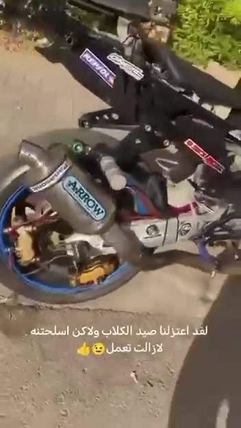سلام عليكم امفوراي كامله مال لعب كامله من فجوج بيه ٣ وبكره وزنجيل نكره بكل واقت 
السعر ١٠ وبيه مجال المكان بغداد بسمايه
*********** شراي يخابر وبي خير ويدلل
