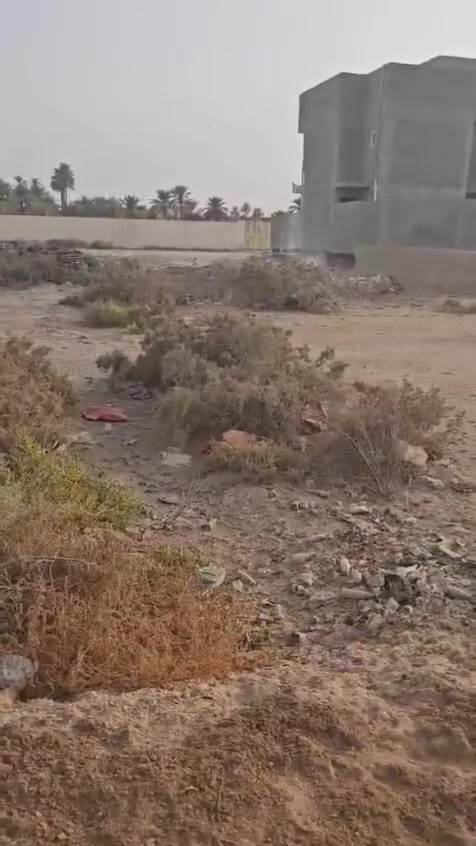 بابل • ٢٥٠م • طابو صرف
