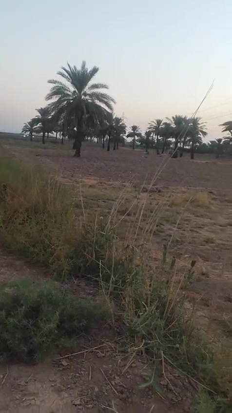 دونم للبيع بالمدائن تفاصيل ذاكرهه بالفديو اني مكلف بالنشر للاستفسار الاتصال بالرقم ‏‪***********‬‏

