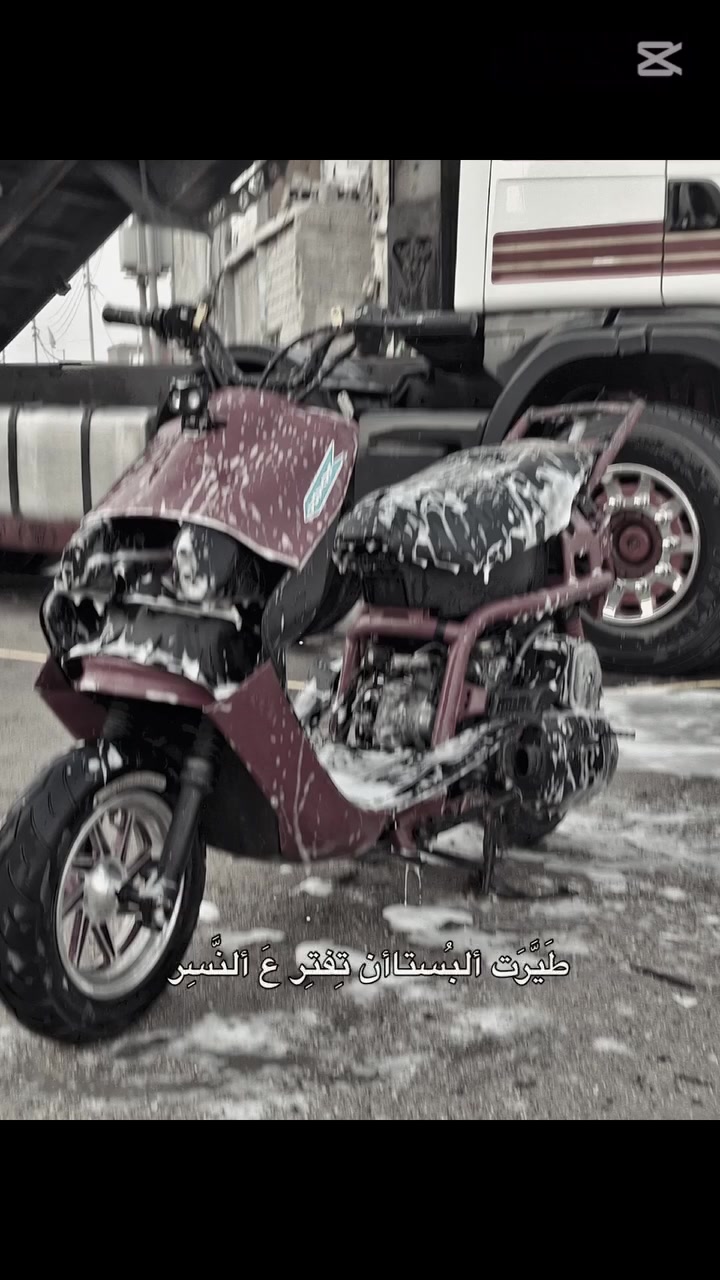 فراشة • ماكس • تعمير جديد