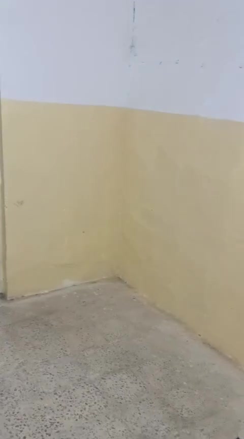 بيت ايجار ٣٥٠ محتويات ال بيت غرفه و صاله و صحيات و ستقبال رقم صاحب ال بيت *********** معلومه بدون دلاليه يعني مباشر وي صاحب ال بيت

