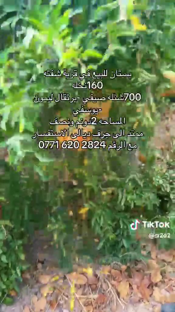 مكتب الهدير
