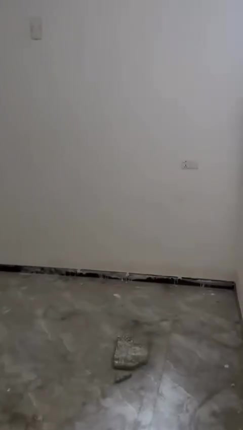 السلام عليكم شقه لليجار طابق ارضي مساحه ١٠٠ غرفتين ومطبخ وخدمات العنوان جكوك الاساتذى قفلها ٤٥٠ للستفسار ***********
