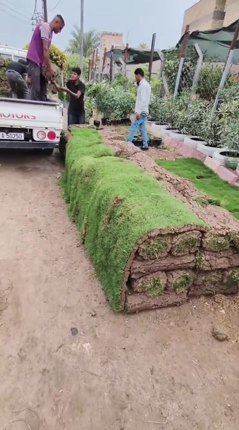 كوفه • شارع عبد العال • مديرية الماء