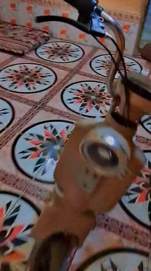 دراجة شحن • حجم ١٤ • شاحنته موجود