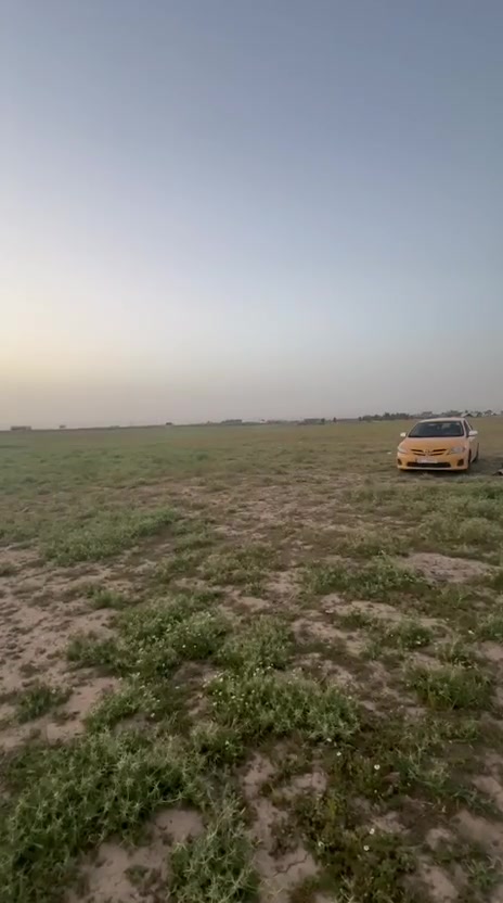سلام عليكم هورنات عنجه أيراني
هورنات حلوات ودكتهن حلوه صارلهن فتره طويله مامفرورات سعر ٢٠٠ وبيهن مجال مكاني الاحسينيه مال راشديه ***********
