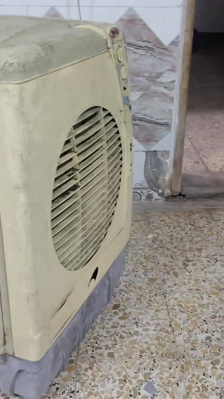 مبرده للبيع شغاله مكان نجف مقابيل قريه الغدير السعر 45 لي يريدها يخابرني ***********
