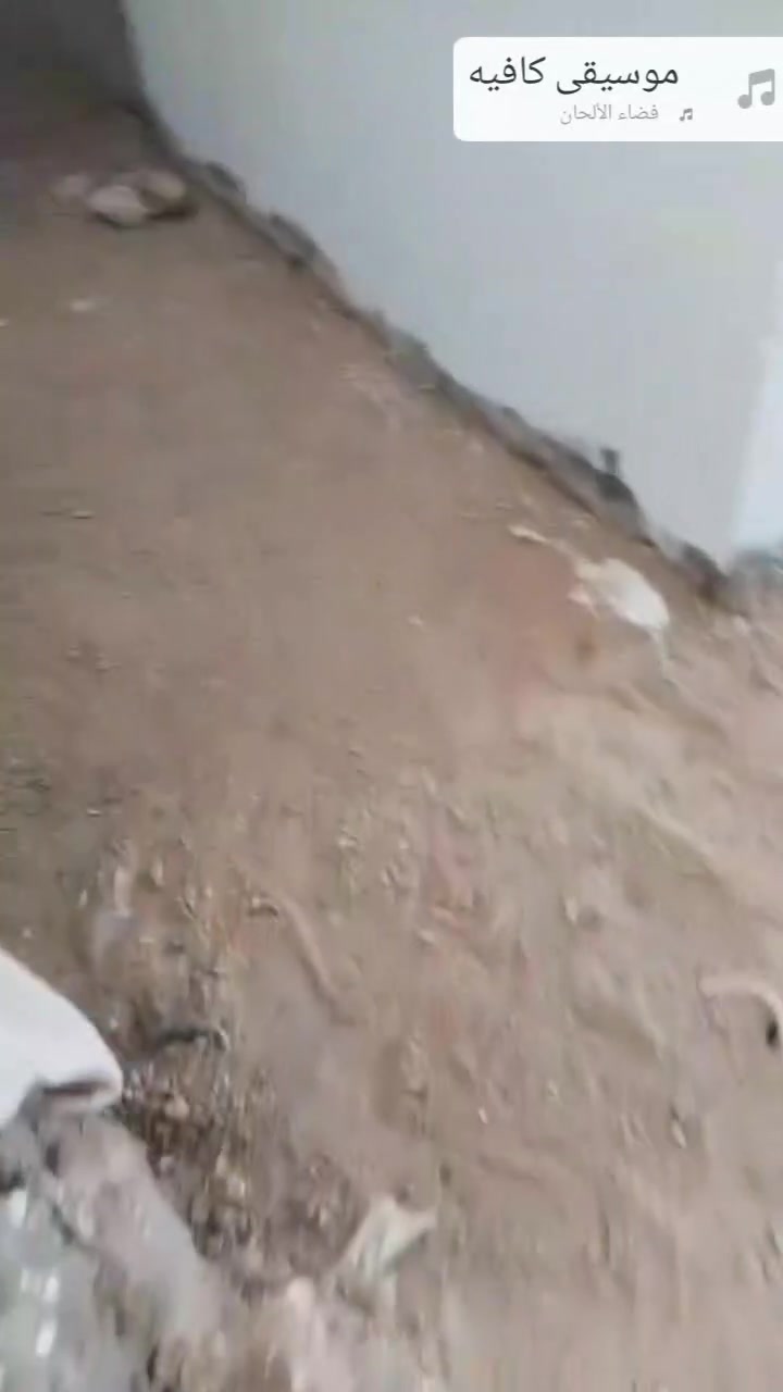 سلام عليكم 
تاسيس مجاري صحيات حمامات 
شغل مضبوط 
تسليك مجاري مسدوده 
أتصل يمك 
***********يوجد وتساب
