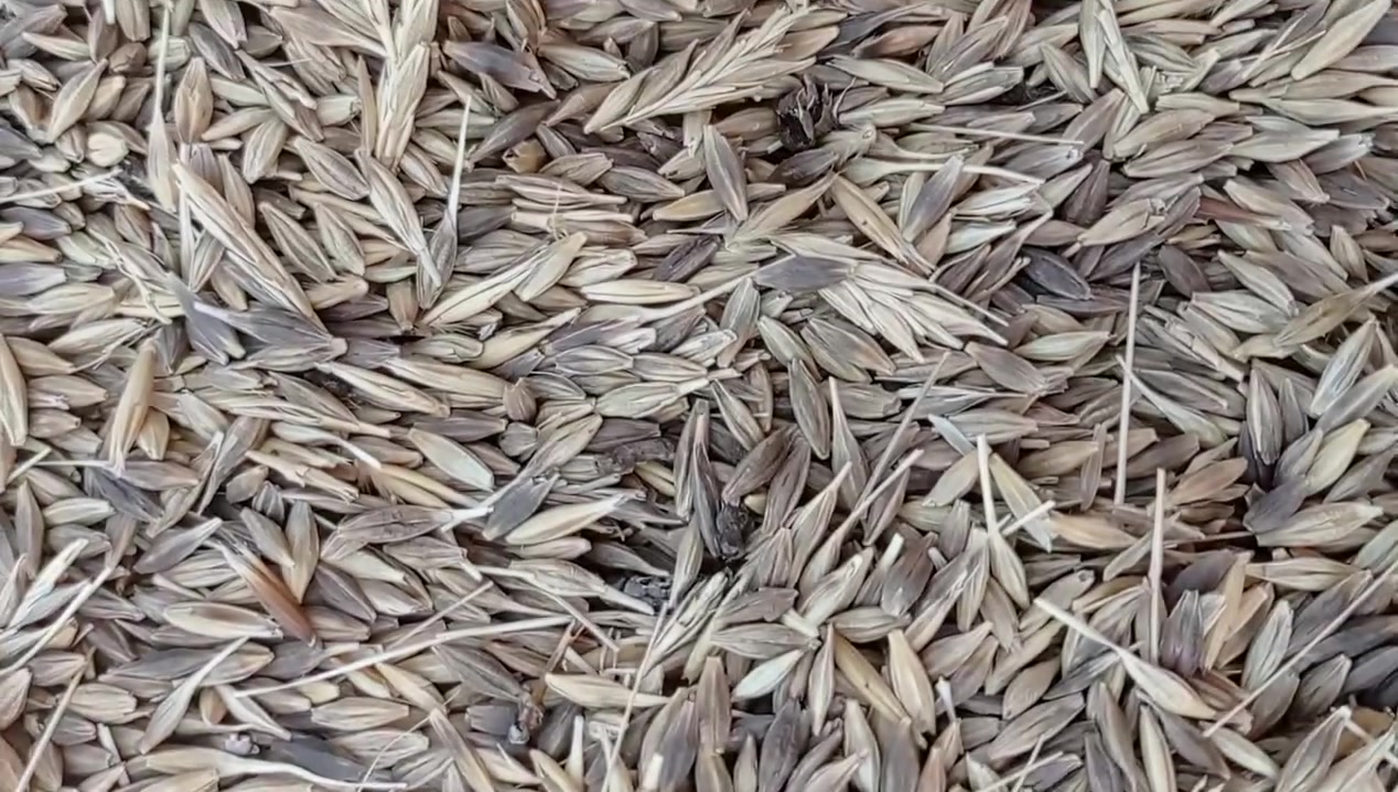 بو فروشتن
***********
