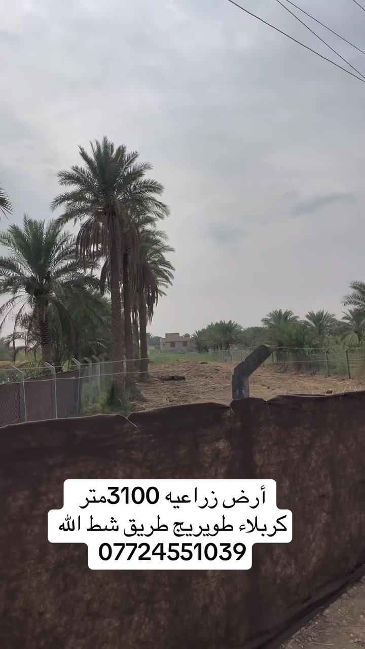 كربلاء طويريج • ٣١٠٠م • سند ٢٥