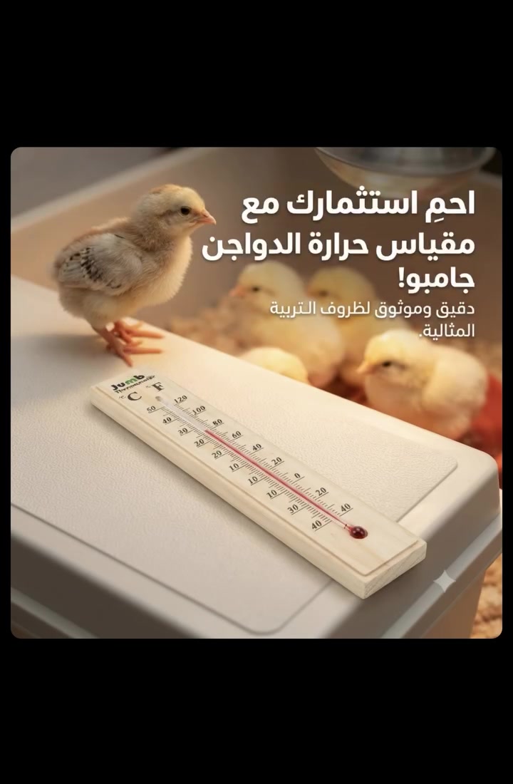 •للحجز والاستفسار راسل الصفحة او التواصل على الرقم ***********
•يتوفر جملة ومفرد
•يرجى التأكد من الطلب قبل الاستلام
 #فقاسات #مقياس #متحكم #مراوح #هيتر  #مبخرة #تبريد #دجاج #افراخ #دواجن 
 #كهربائيات  #اطباق
