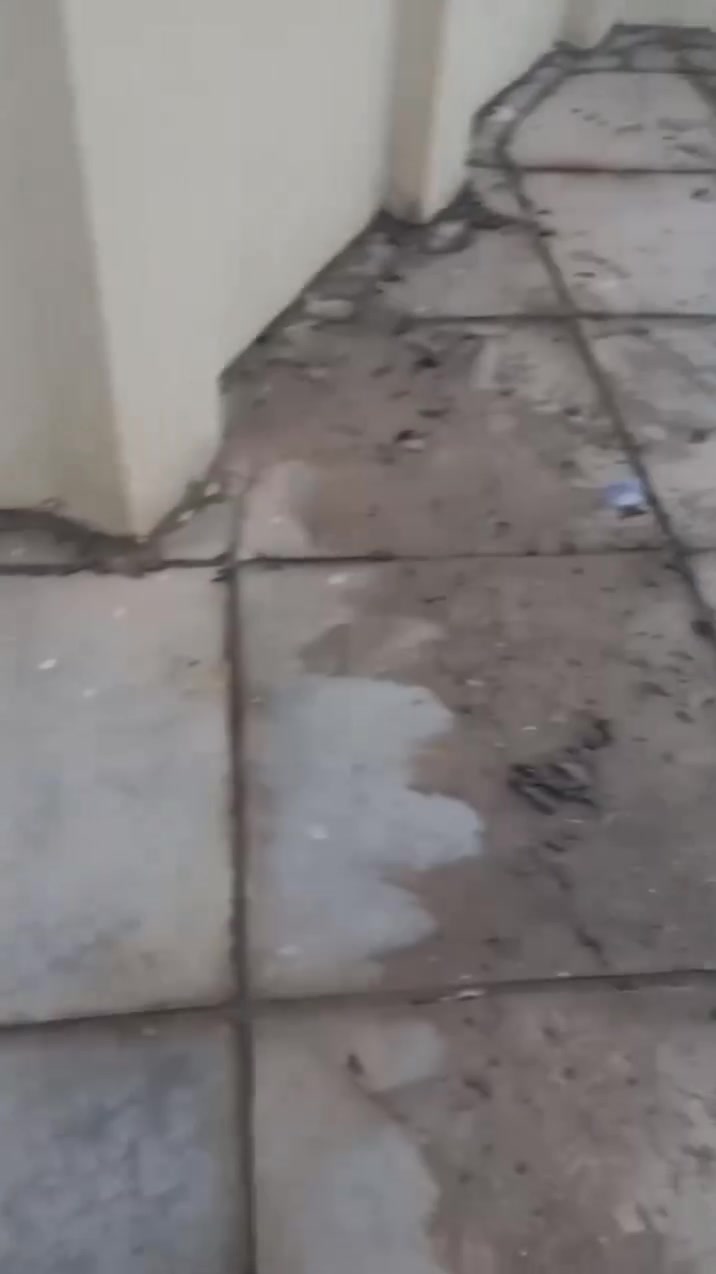 ماستك • بصرة • بدارة الخلفة