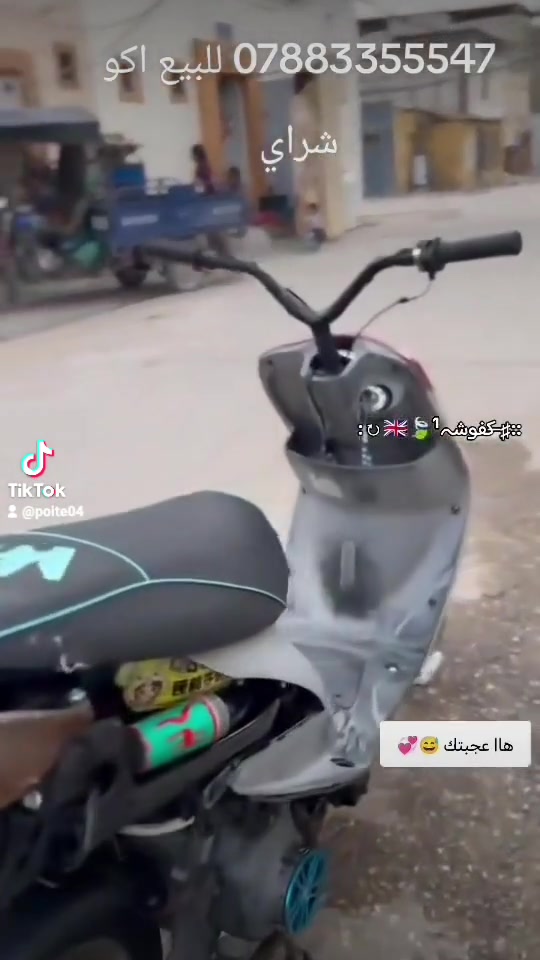 بالنجف ماكس منغولي للبيع *********** وبيها مجال

